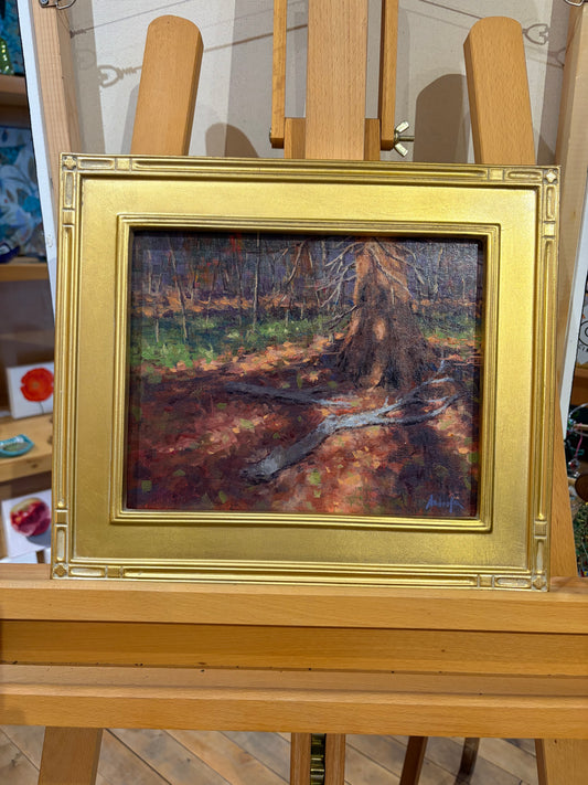 Shadows on the Forest Floor by Margie Guyot