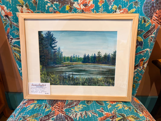 Wilderness Adventure by Julie Stoppel