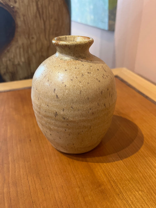 Bottle Vase by Steve Tubbs