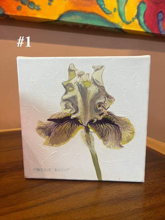 Iris by Margie Guyot
