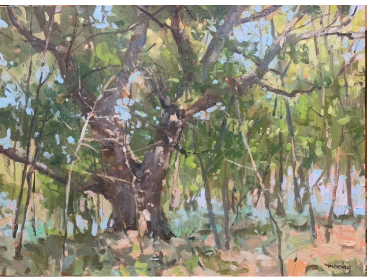 Evening Oak by Alan Maciag