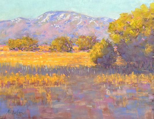 Lavender Shadows by Kurt Anderson