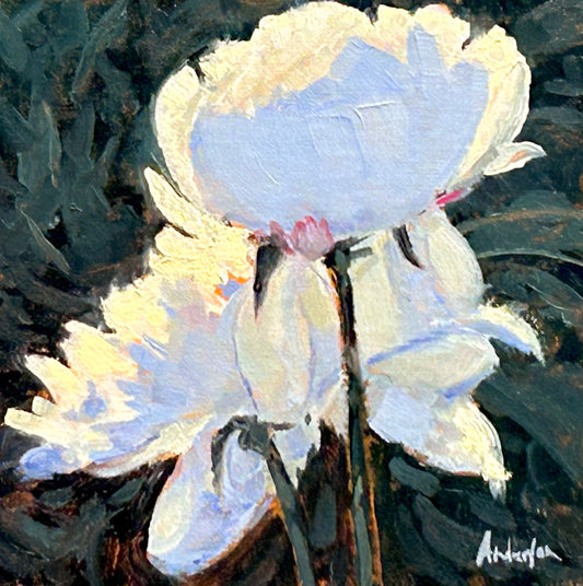 Garden Glow by Kurt Anderson