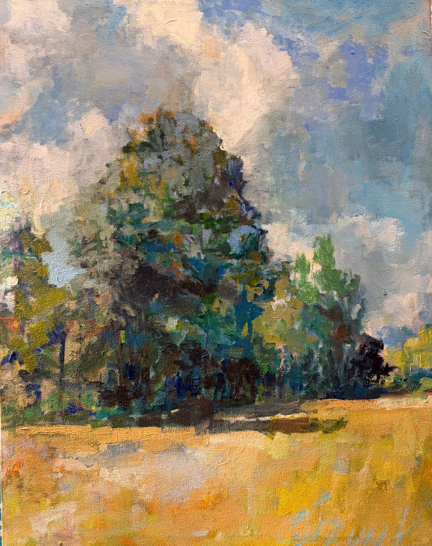 Afternoon Sun by Christopher Strunk