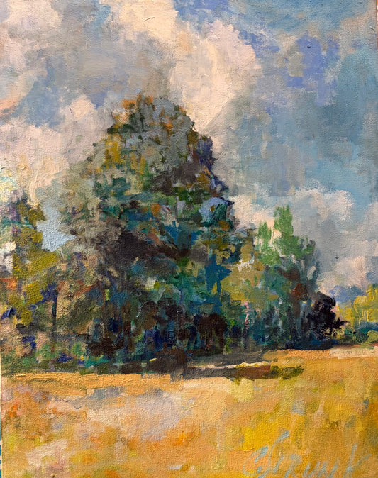 Afternoon Sun by Christopher Strunk