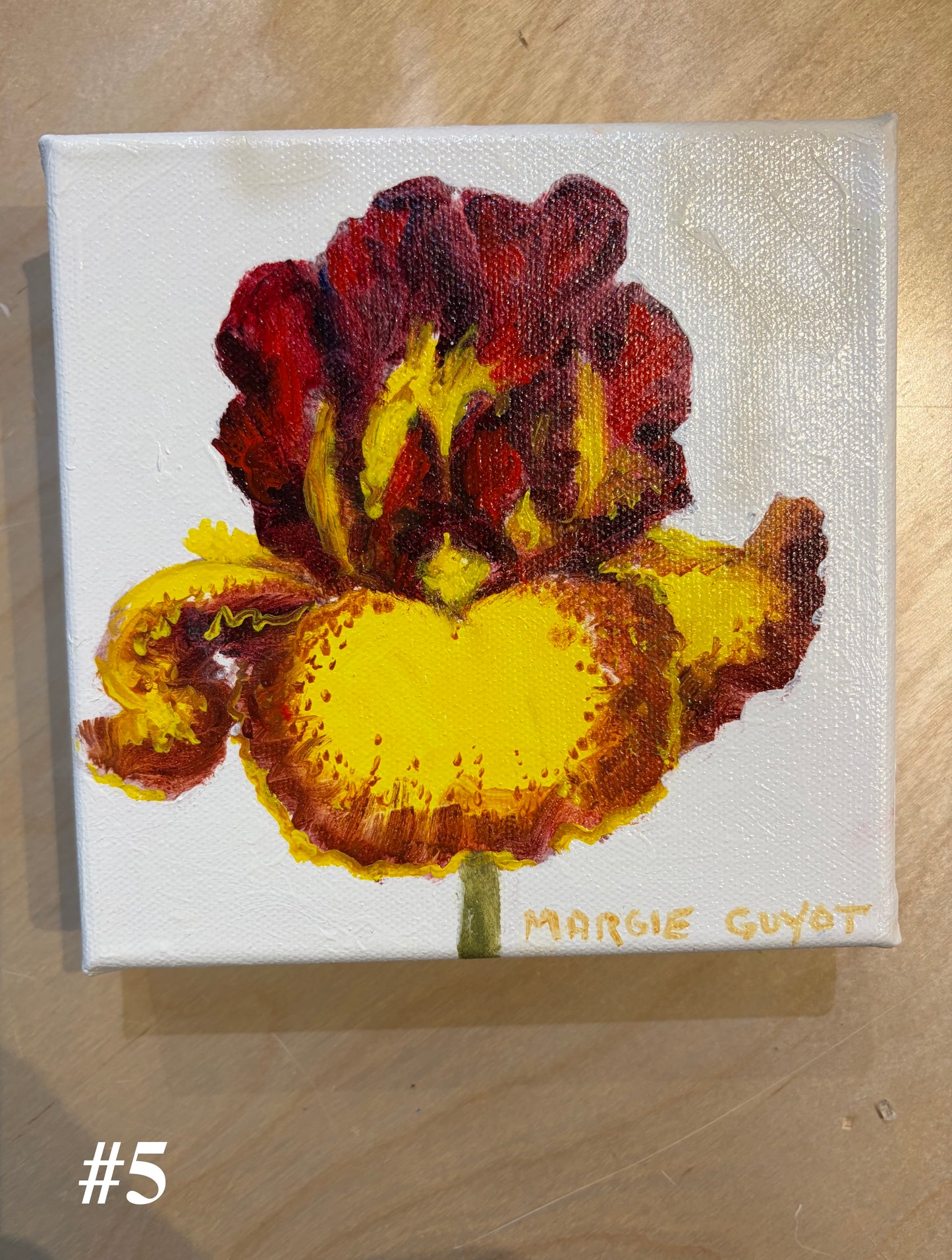 Iris by Margie Guyot
