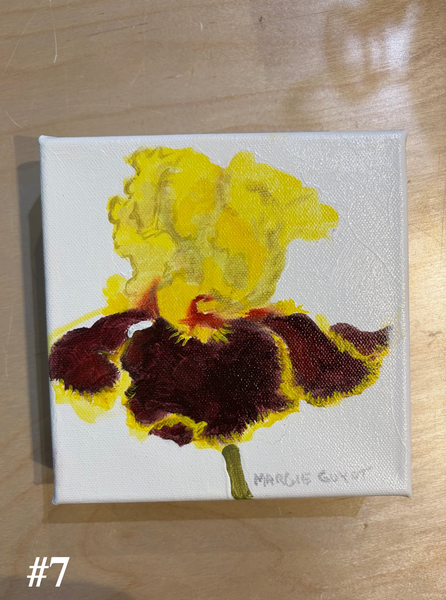Iris by Margie Guyot