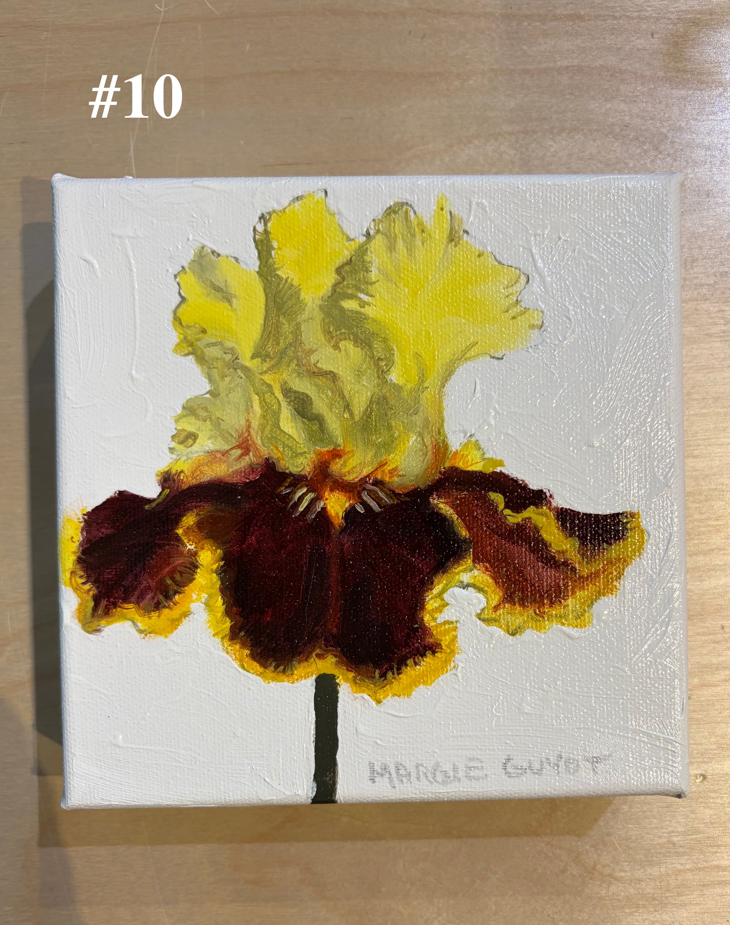 Iris by Margie Guyot