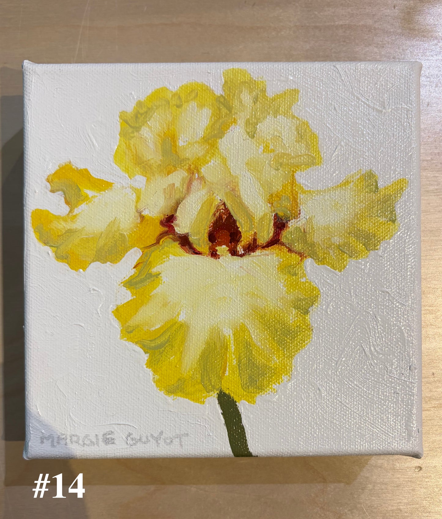 Iris by Margie Guyot