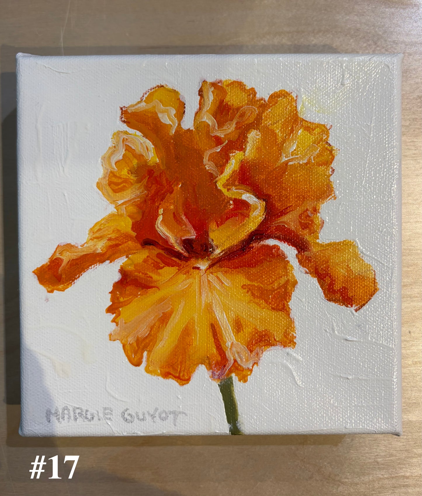 Iris by Margie Guyot