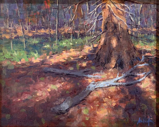 Shadows on the Forest Floor by Margie Guyot