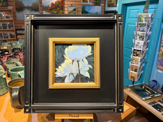 Garden Glow by Kurt Anderson