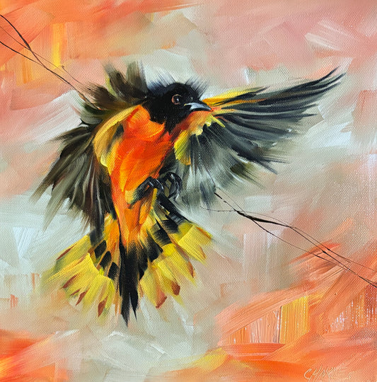 Chasing the Wind by Beth Charles