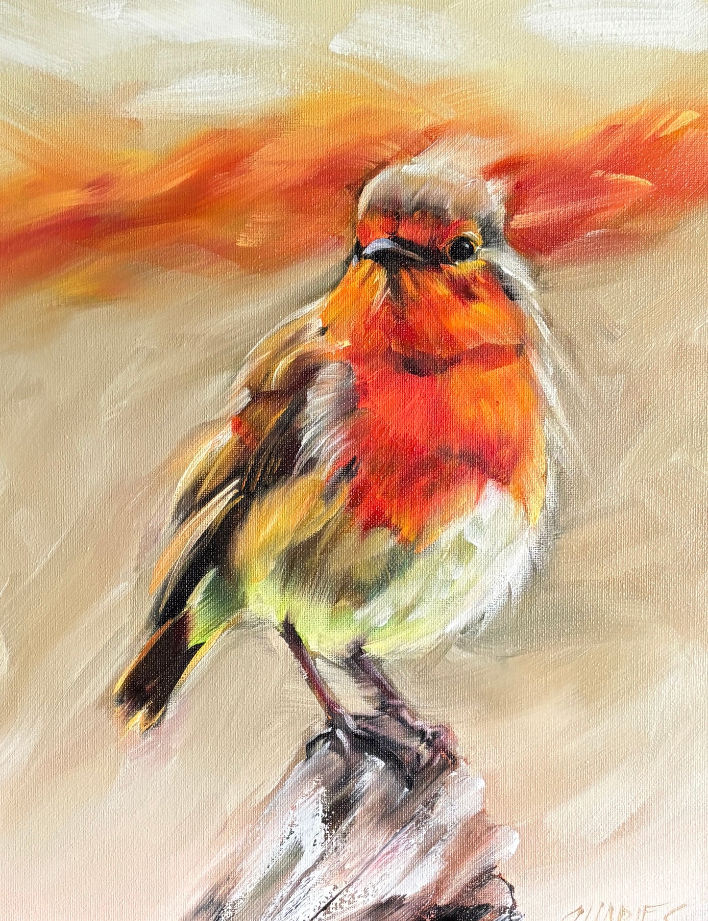 Bobbin' Robin by Beth Charles