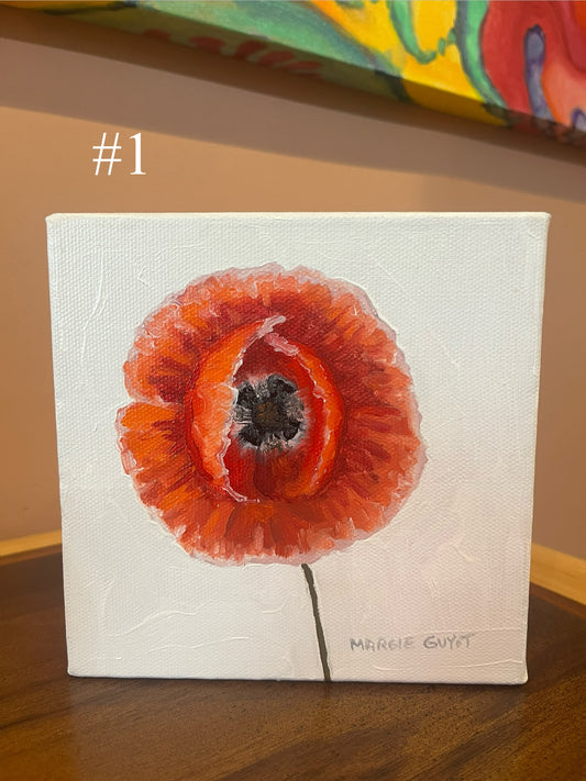 Poppy by Margie Guyot