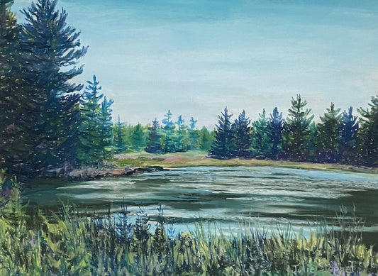 Wilderness Adventure by Julie Stoppel