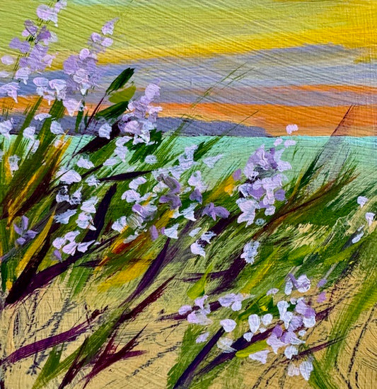 Sand Bloom by Stephanie Schlatter