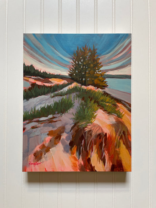 Summer Dream by Amy Peterman