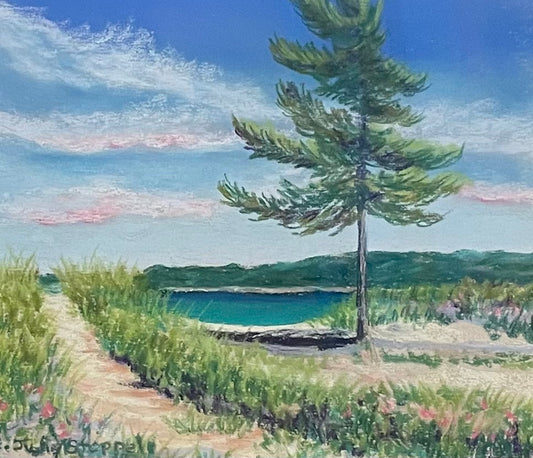 Dune Walk by Julie Stoppel