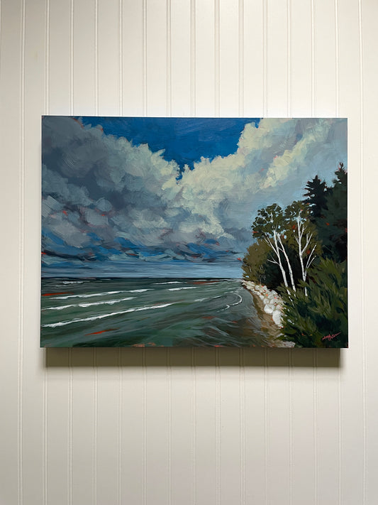 Moody Shore by Amy Peterman